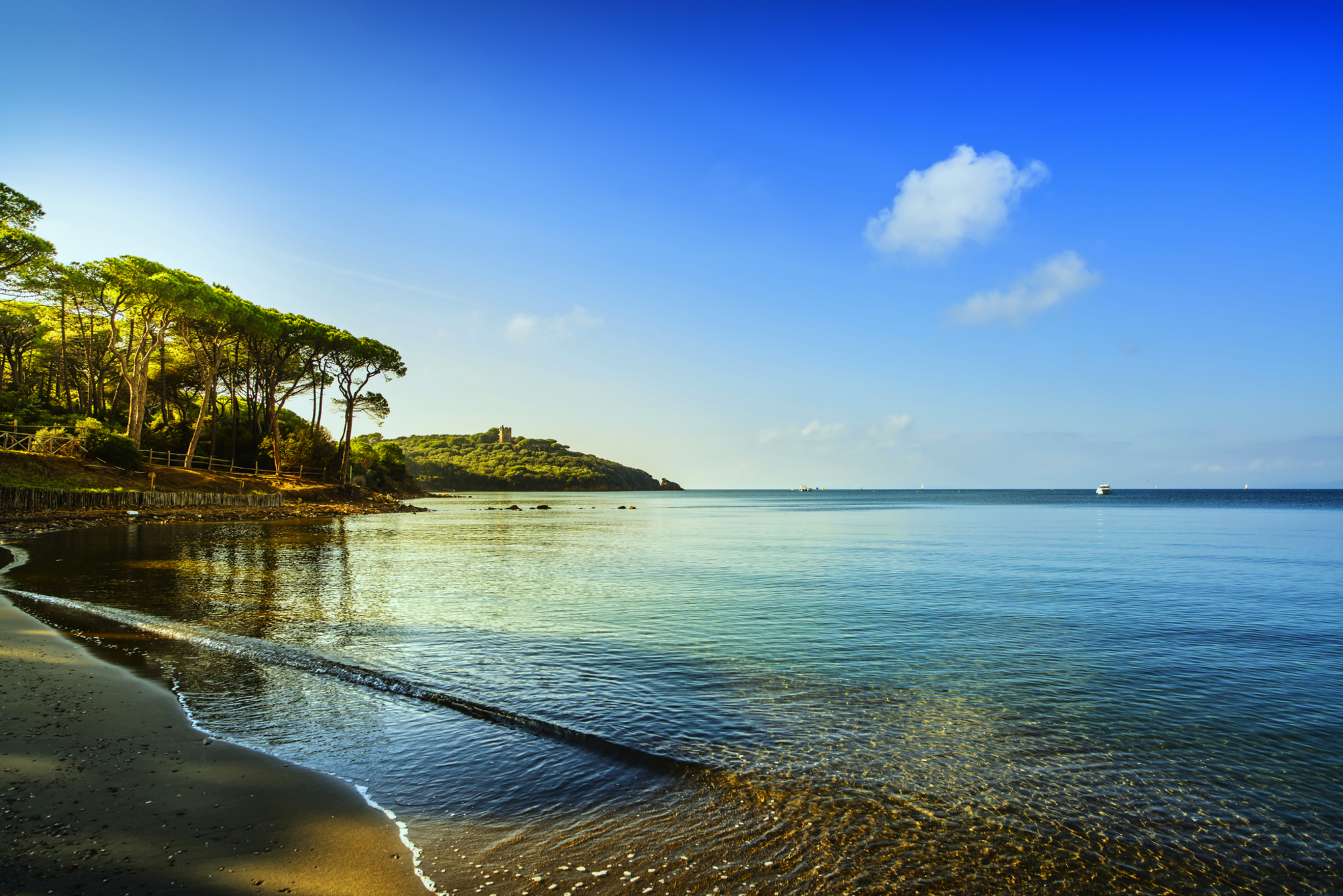 Bucht von Punta Ala Bucht von Punta Ala Bild