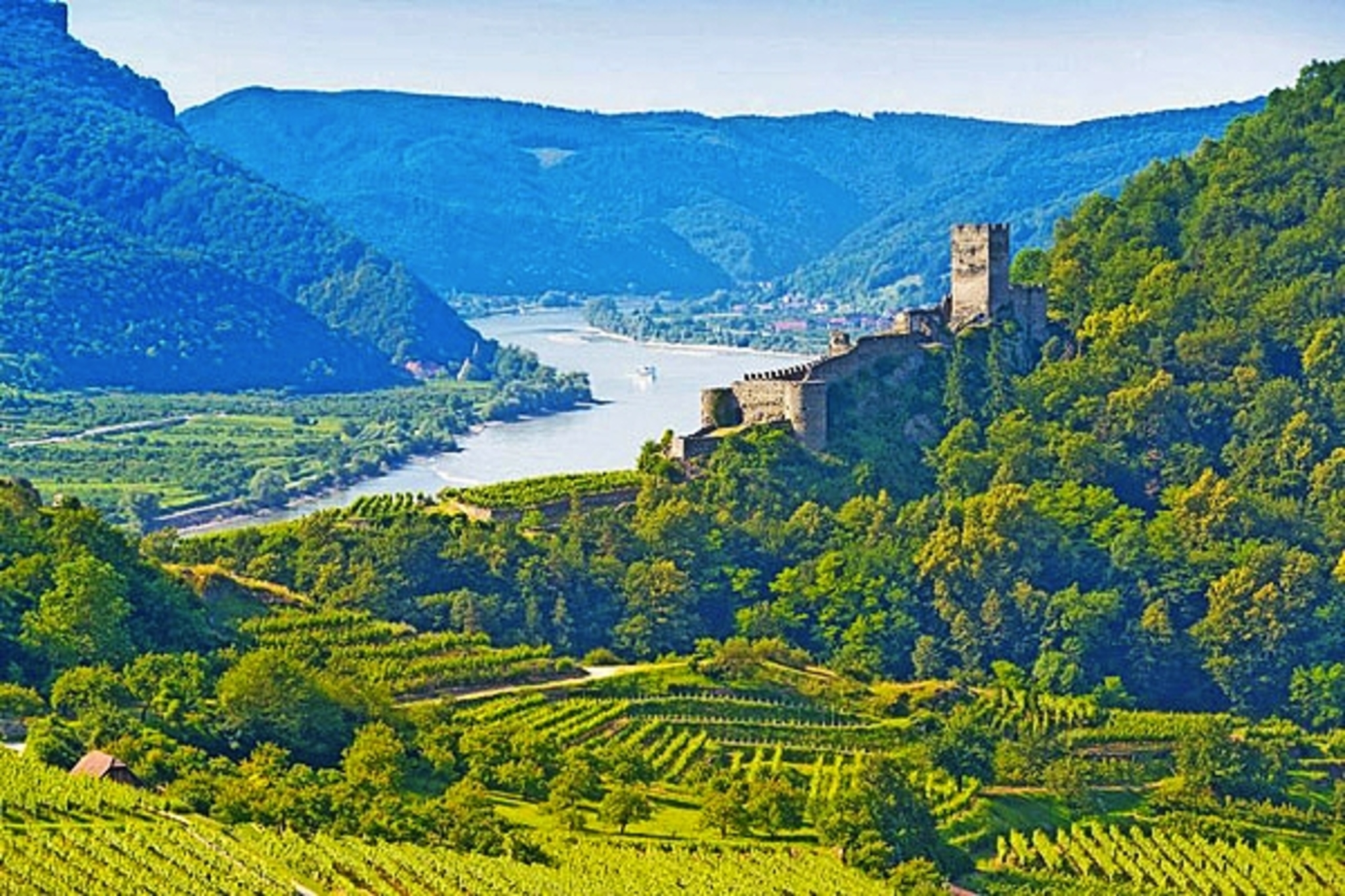 An der schönen blauen Donau An der schönen blauen Donau Bild