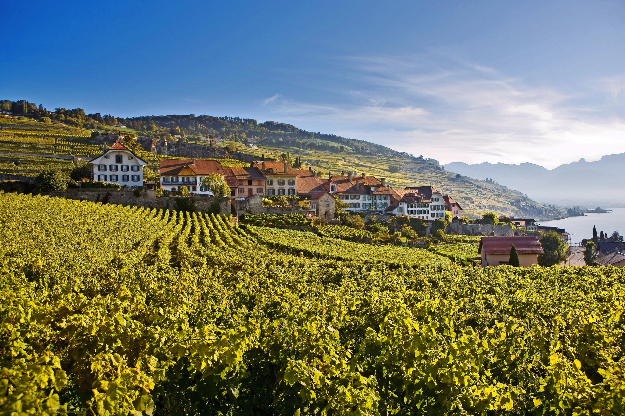 UNESCO Weltkulturerbe Lavaux UNESCO Weltkulturerbe Lavaux Bild