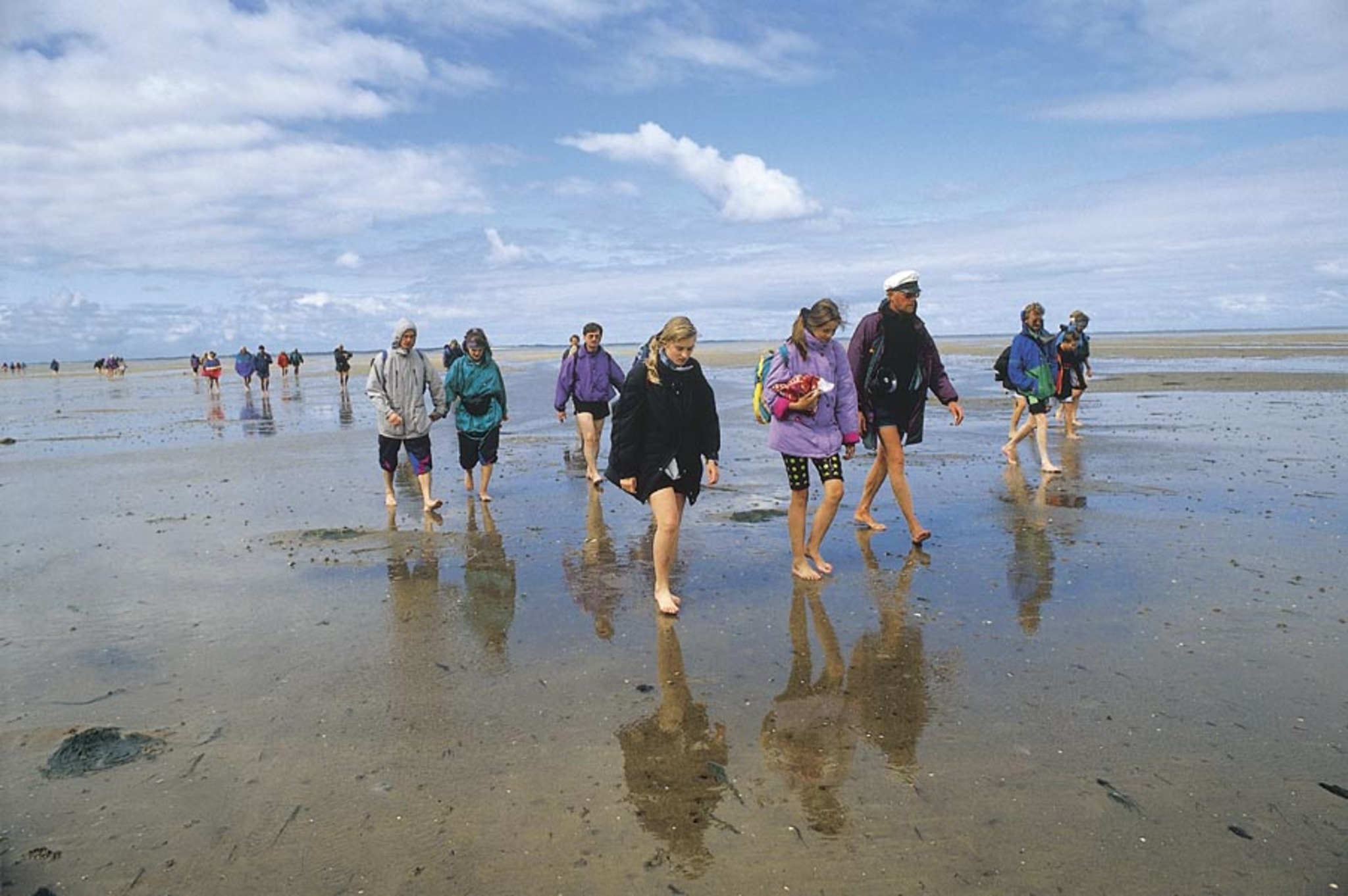 UNESCO Weltnaturerbe Wattenmeer UNESCO Weltnaturerbe Wattenmeer Bild