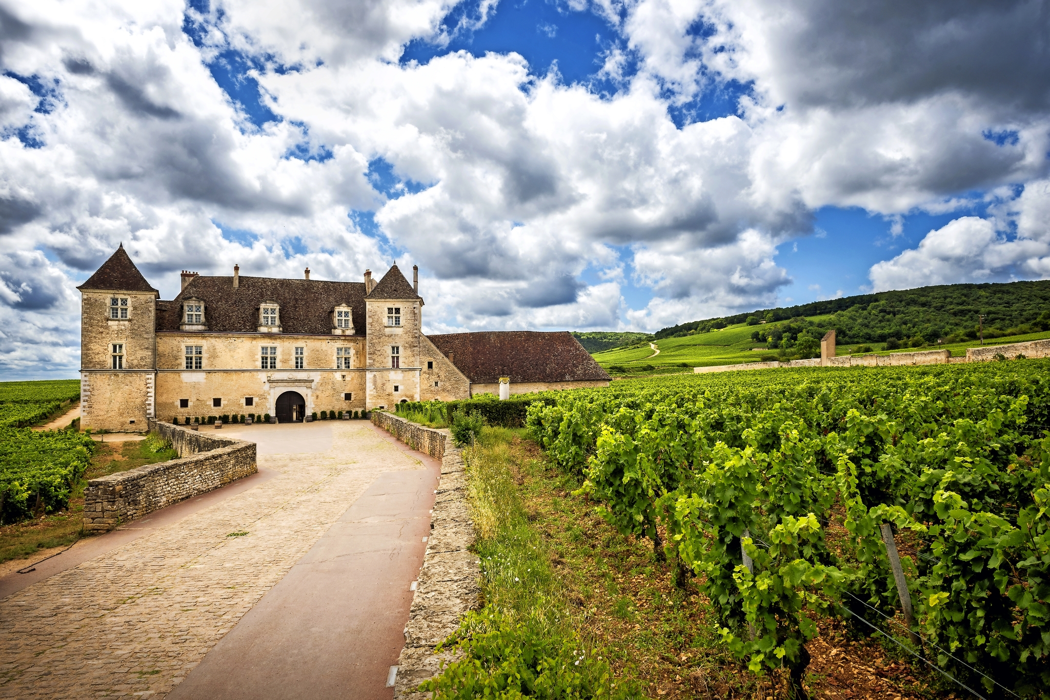 Clos de Vougeot Clos de Vougeot Bild