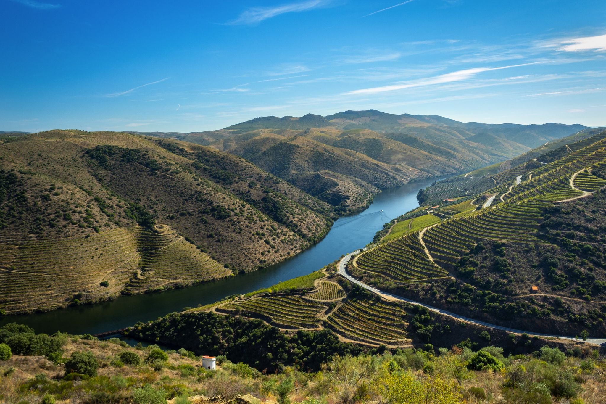 Typische Douro-Landschaft Typische Douro-Landschaft Bild