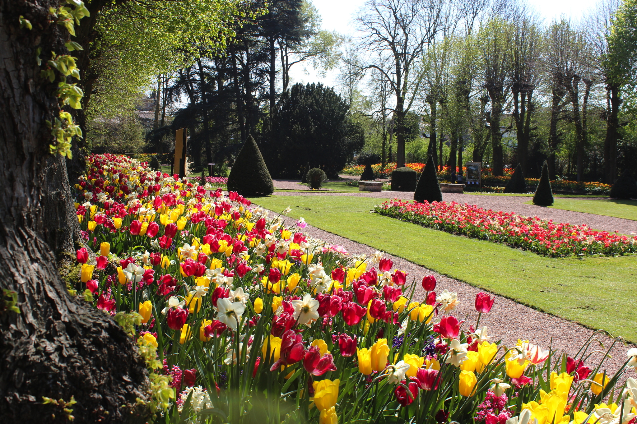 Bunte Blumenbeete in einem gepflegten Garten im Frühling.