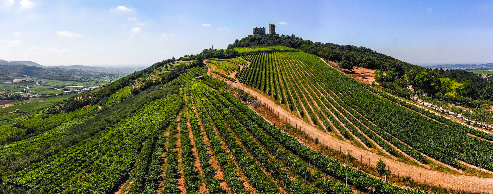 Luftaufnahme der Weinberge um Illasi in der Provinz Verona in Venetien, Italien Weinberge auf einem Hügel mit einer Burgruine im Hintergrund unter einem klaren blauen Himmel.