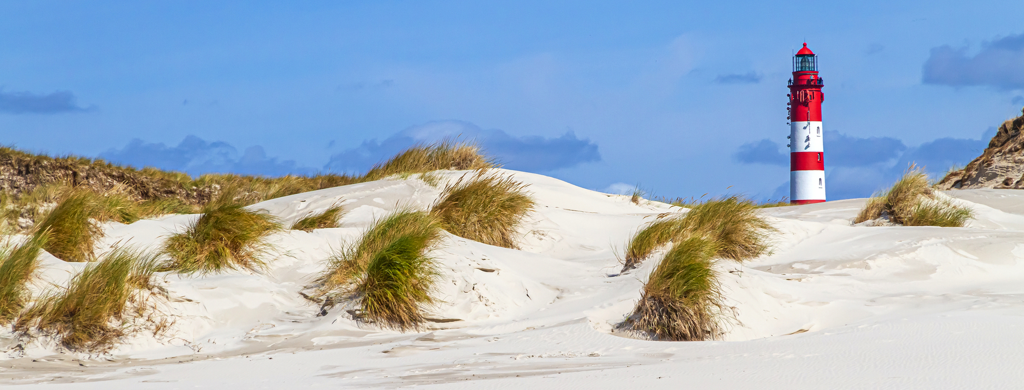 Leuchtturm Amrum Leuchtturm Amrum Bild