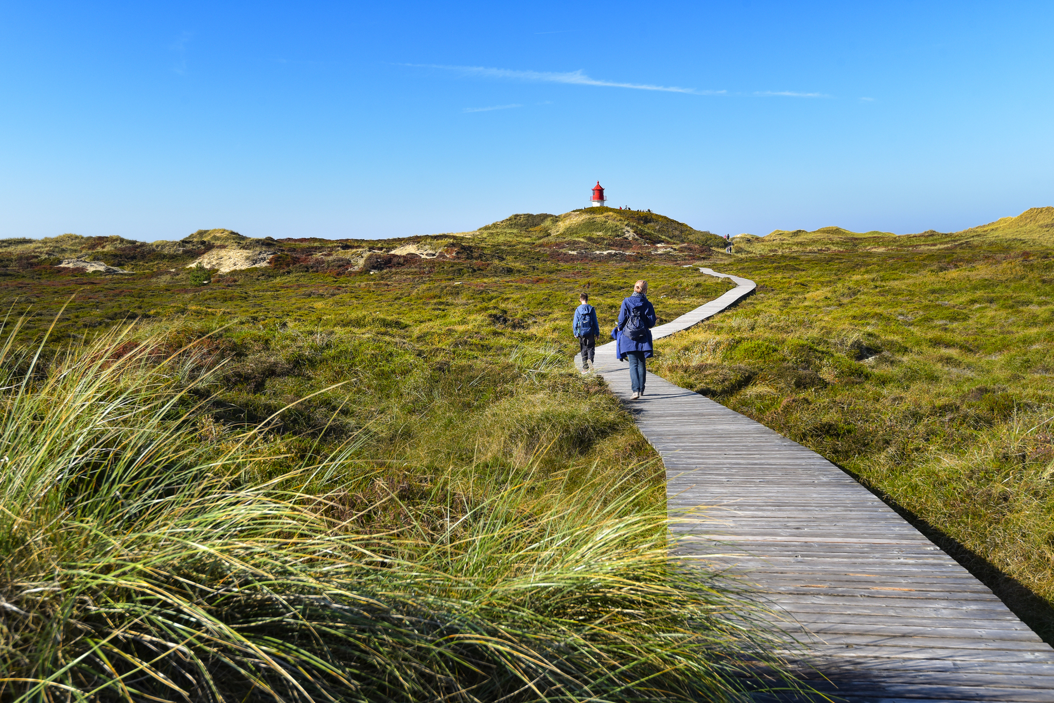 Insel Amrum - Spaziergang zum Leuchtturm Insel Amrum - Spaziergang zum Leuchtturm Bild