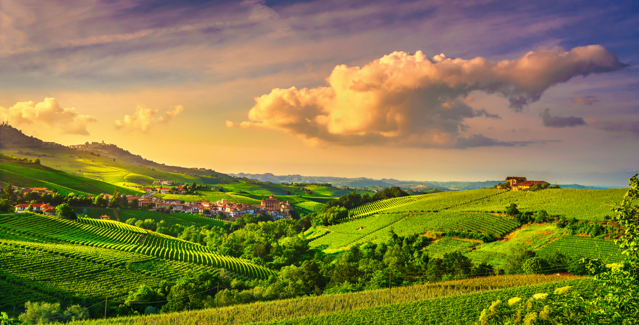 Blick auf die Weinberge der Langhe Blick auf die Weinberge der Langhe Bild