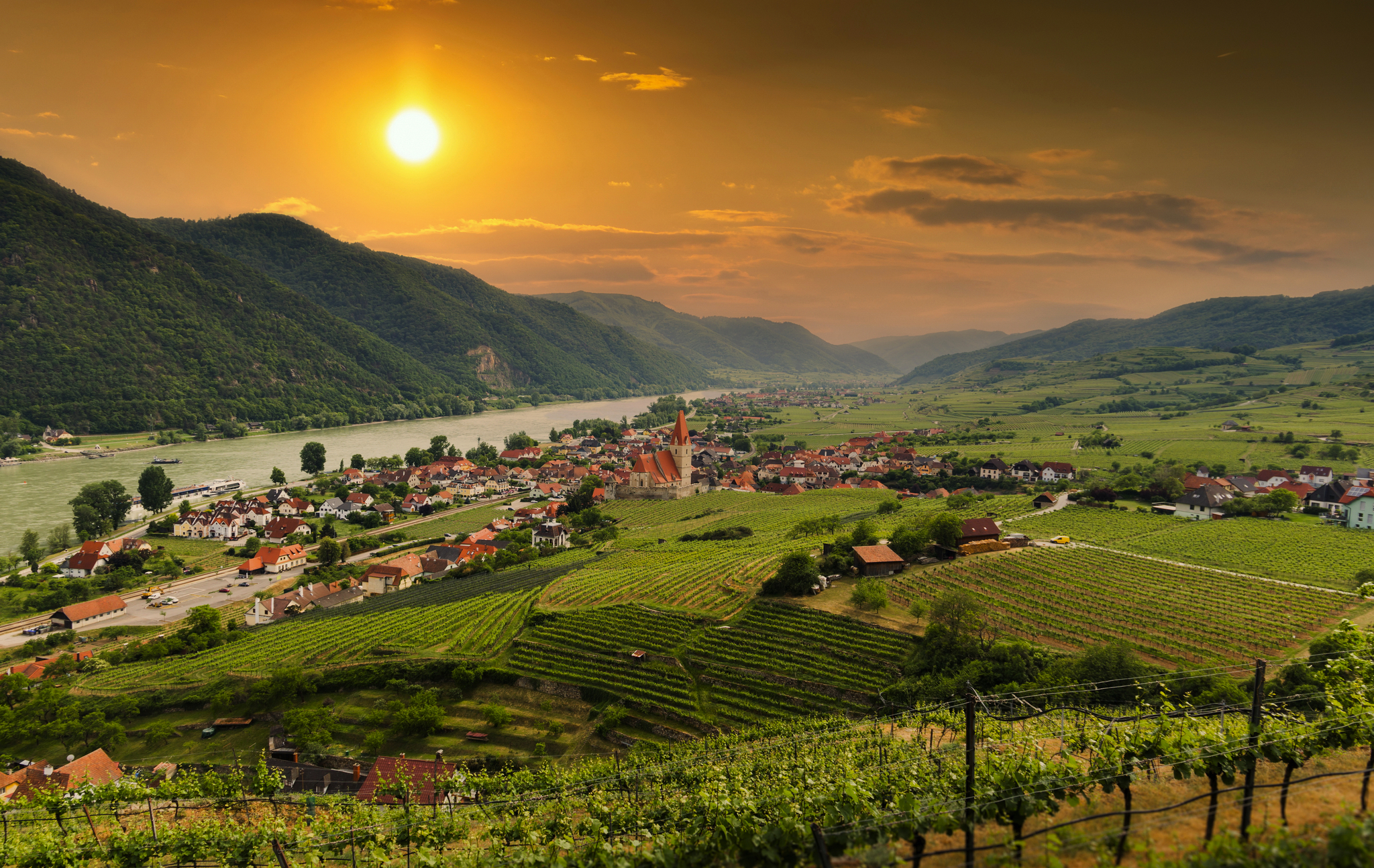 Weinregion Wachau Weinregion Wachau Bild