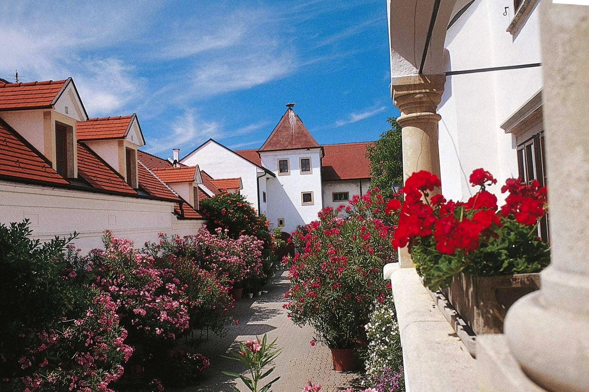 Weingut Feiler-Artinger, Rust Weingut Feiler-Artinger, Rust Bild