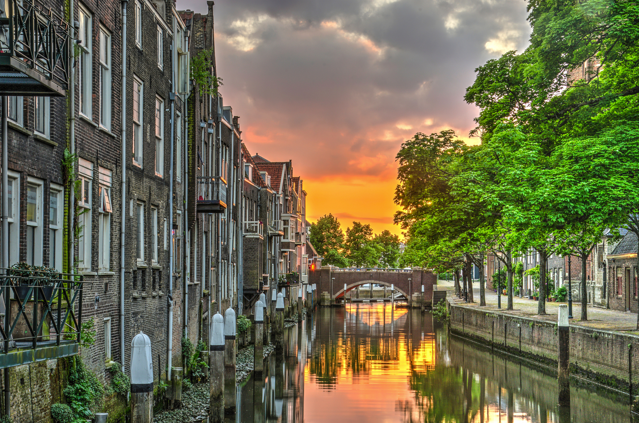 Dordrecht Dordrecht Bild