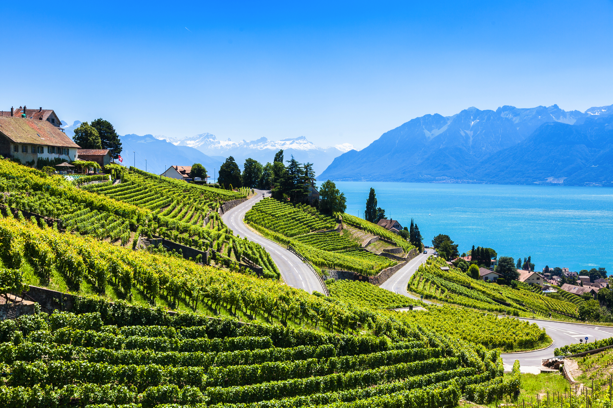 Lavaux - UNESCO Weltkulturerbe Bild