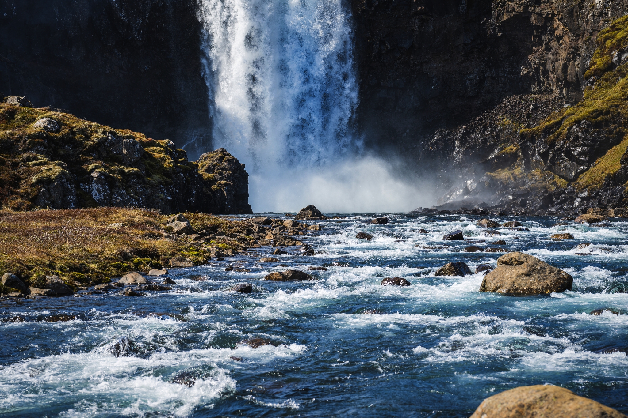 Seydisfjördur Seydisfjördur Bild
