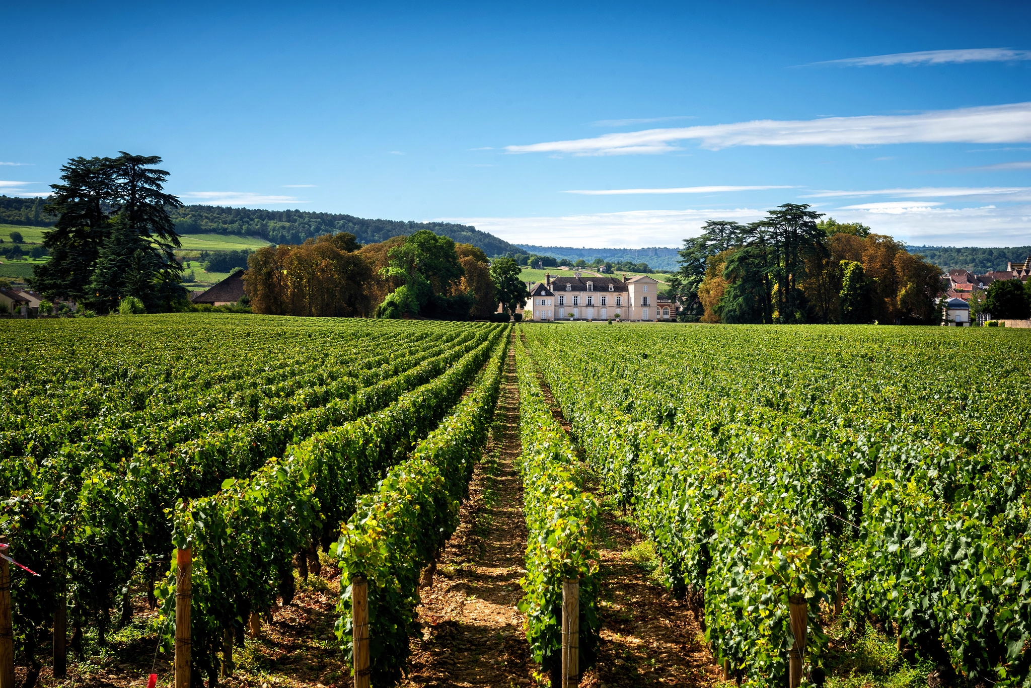 Château Meursault Château Meursault Bild