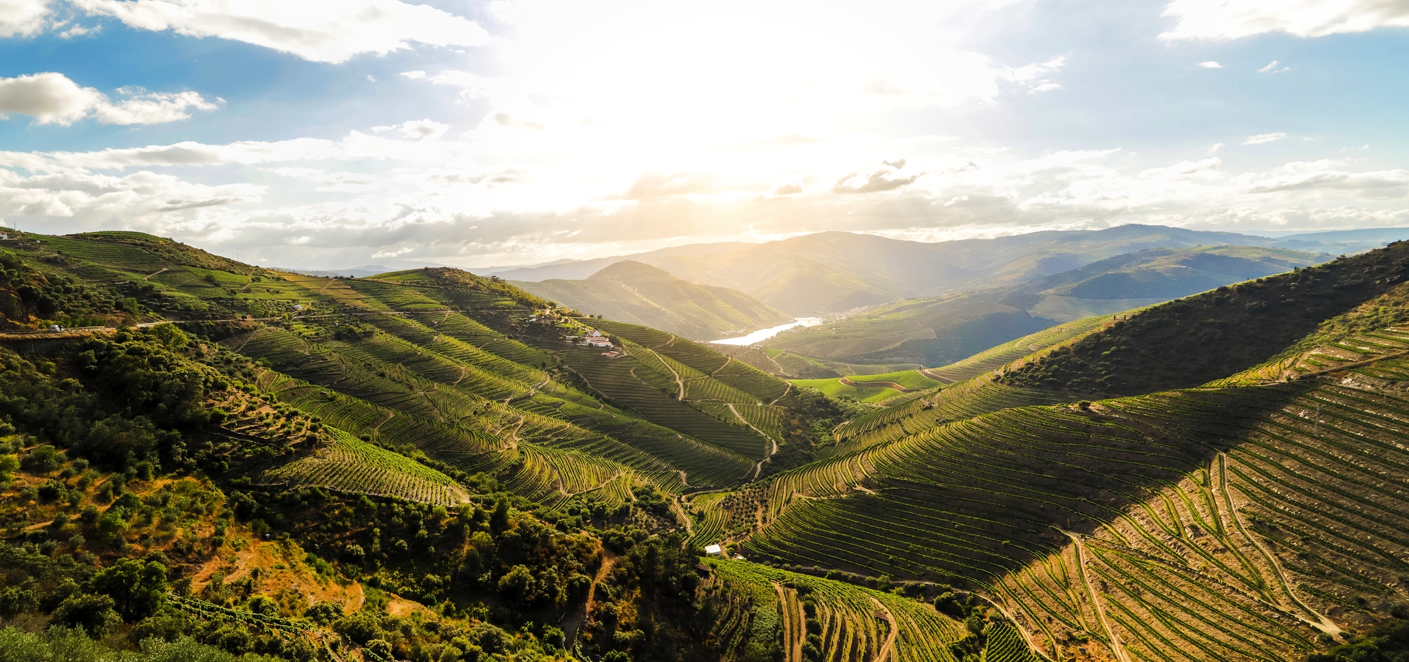 Douro-Tal Douro-Tal Bild