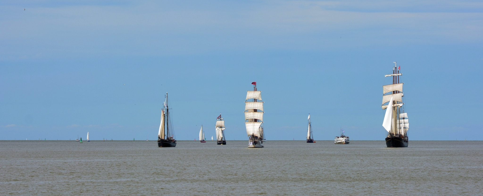 SAIL 2025 SAIL 2025 Bild