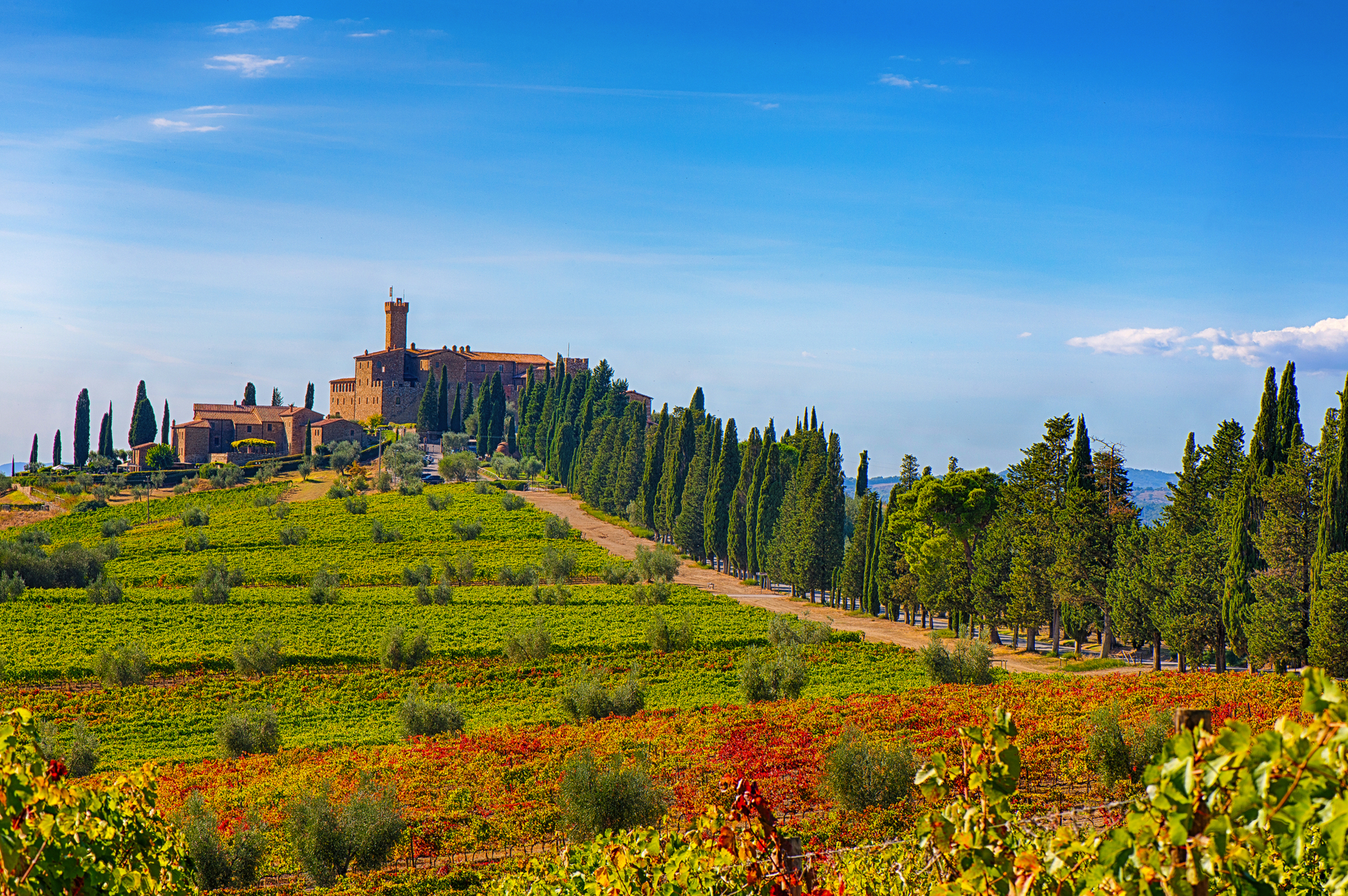 Zypressen gesäumter Weg führt zu einem Hügel mit italienischem Schloss und blauen Himmel.