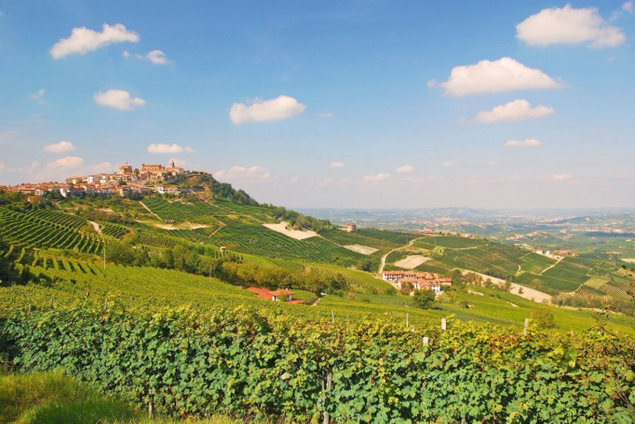 Blick auf den bekannten Weinort La Morra Blick auf den bekannten Weinort La Morra Bild
