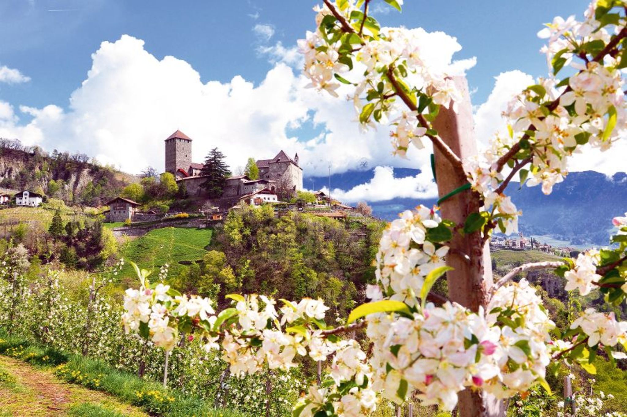 Schloss Tirol im Frühling Schloss Tirol im Frühling Bild