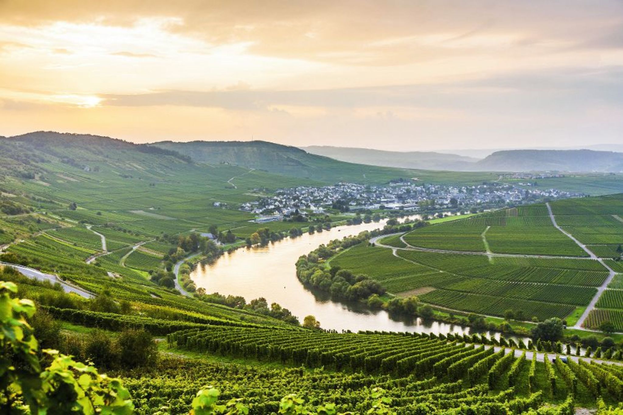 Mosel Weinhänge Mosel Weinhänge Bild