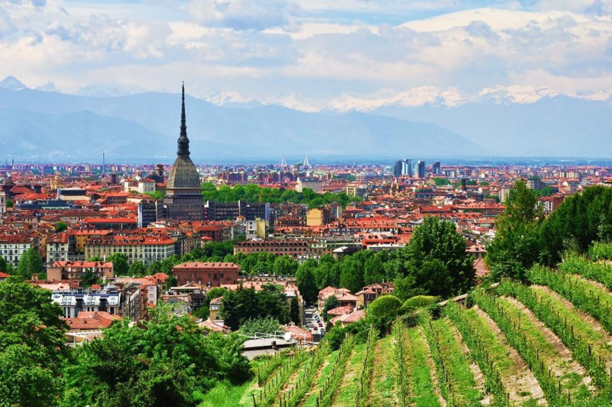 Turin Turin Bild