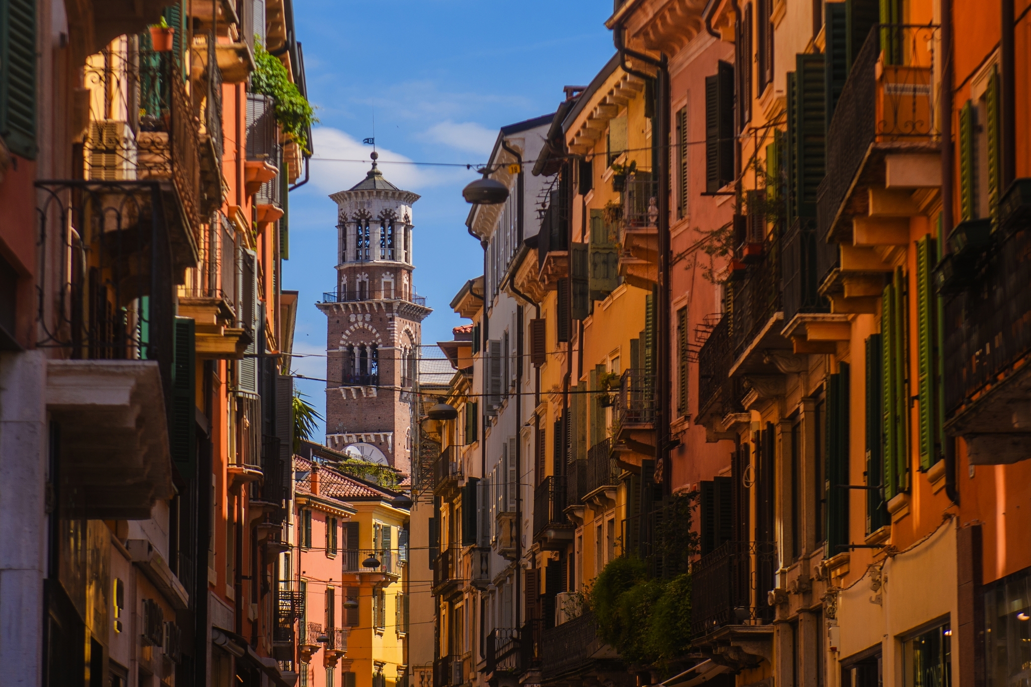 Verona Verona Bild