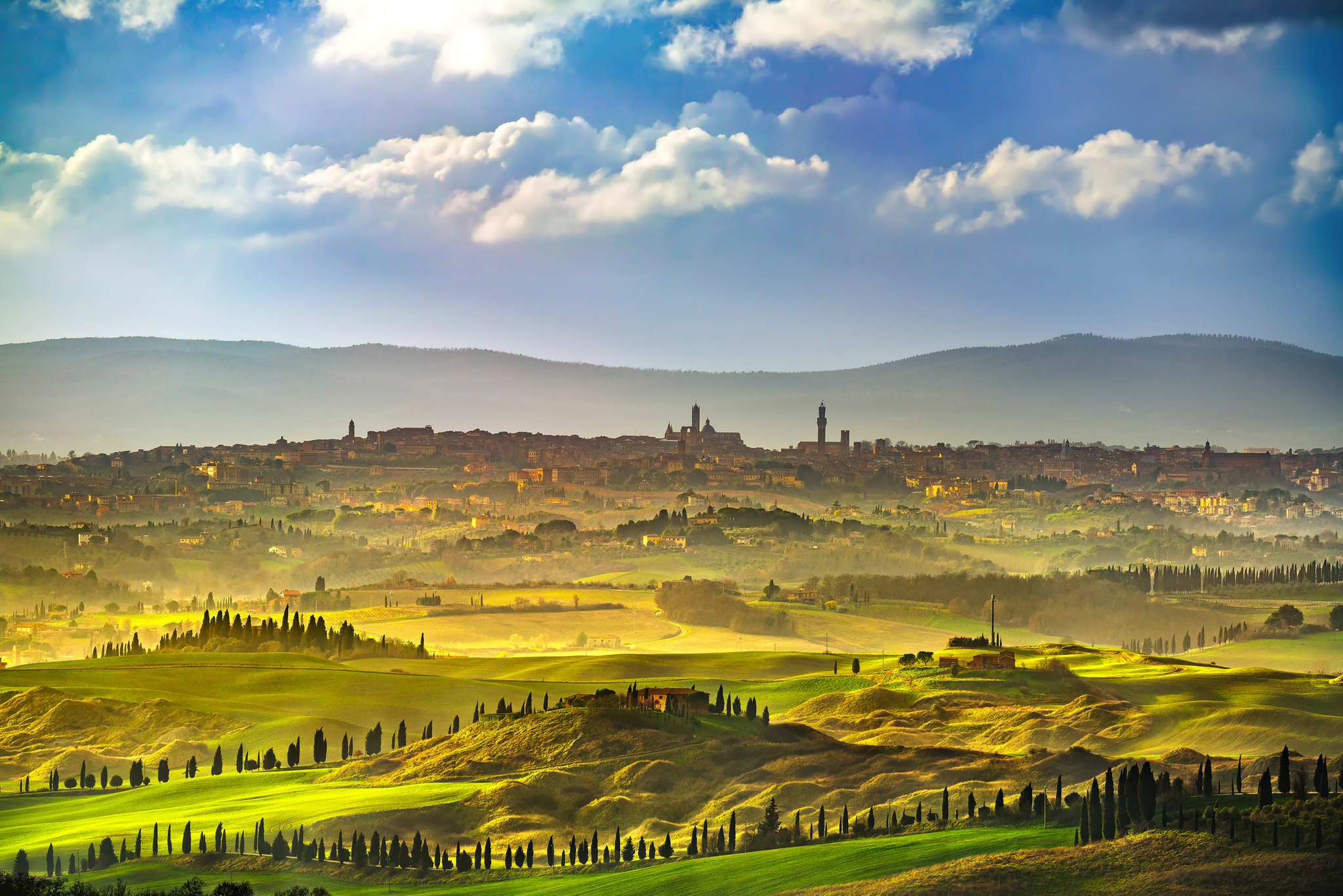 Hügellandschaft mit Zypressen und Stadt im Hintergrund bei bewölktem Himmel.