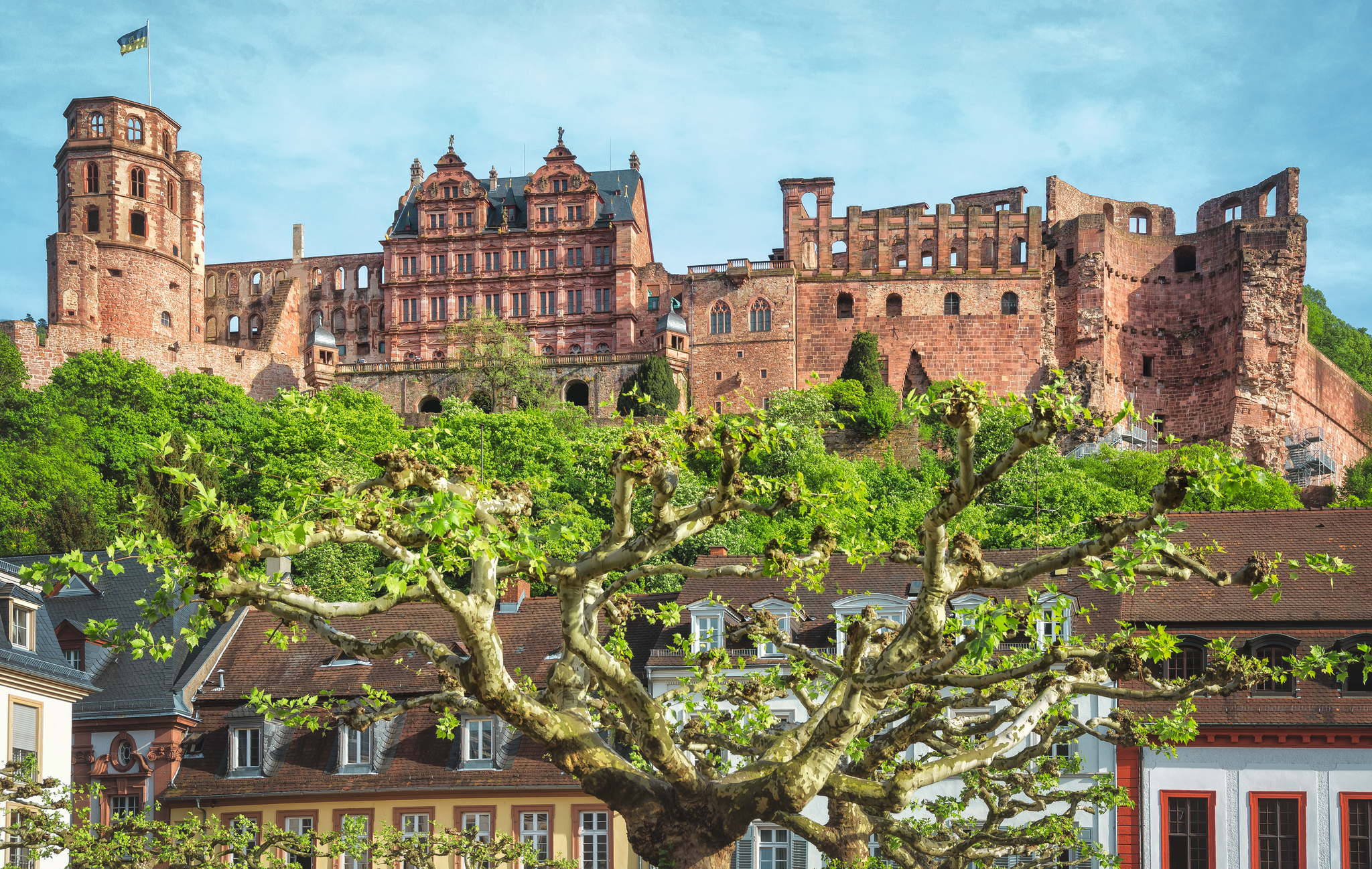 Heidelberger Schloss mit Altstadt und Bäumen im Vordergrund.