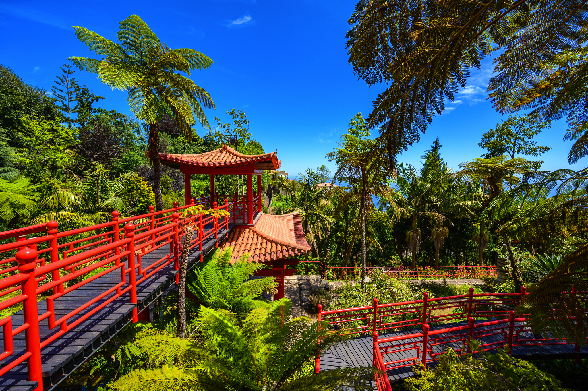 Tropischer Garten Funchal Bild