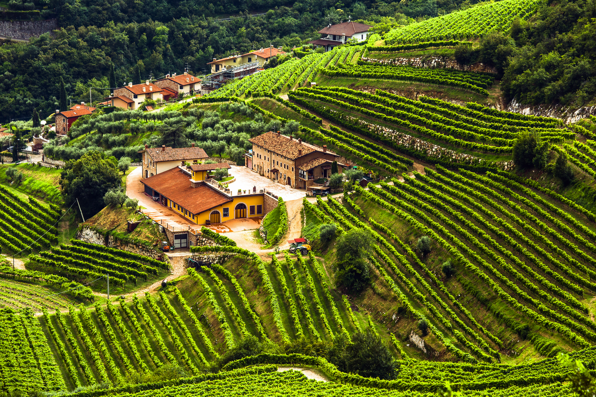 Weinbaugebiet Valpolicella Weinberge auf einer hügeligen Landschaft mit Gebäuden in der Mitte