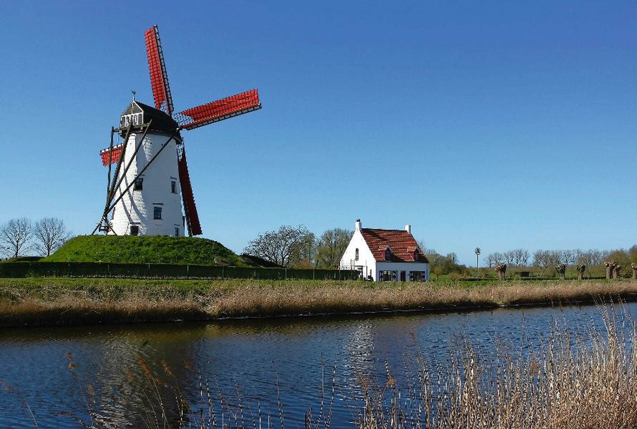 Windmühle am Damse Vaart Kanal in Damme nahe Brügge, Belgien Windmühle mit roten Flügeln neben einem kleinen weißen Haus an einem sonnigen Tag.