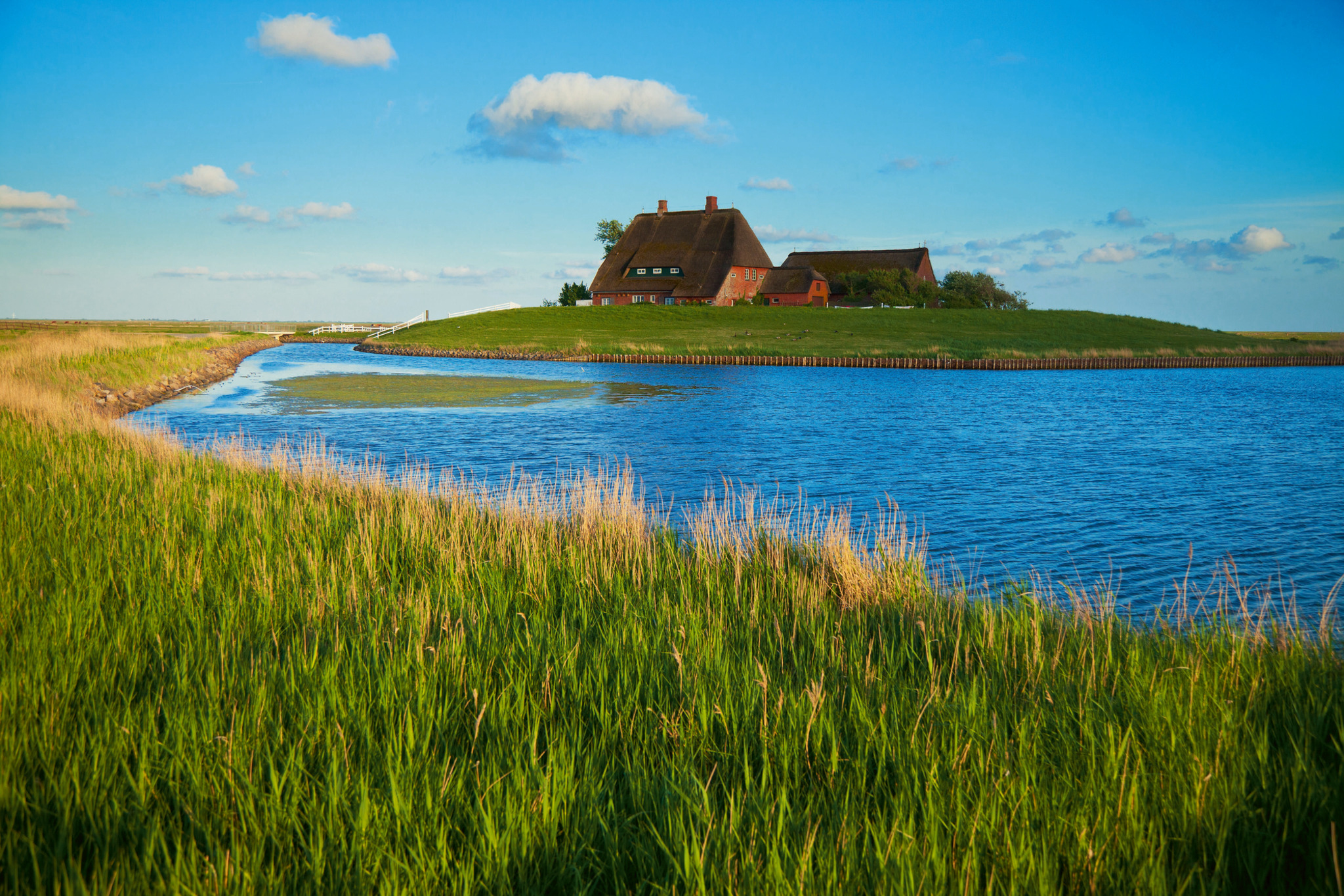 Kirchwarft, Hallig Hooge Kirchwarft, Hallig Hooge Bild