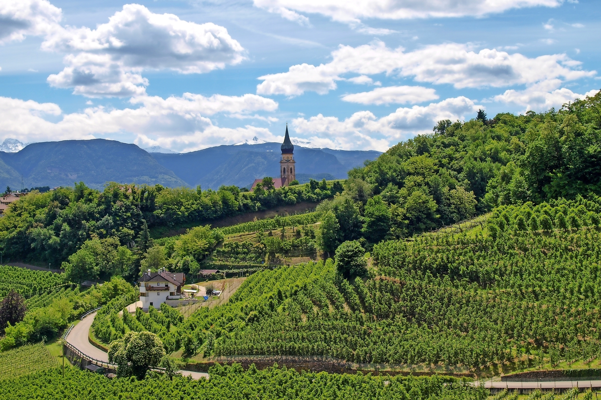 Meran Meran Bild