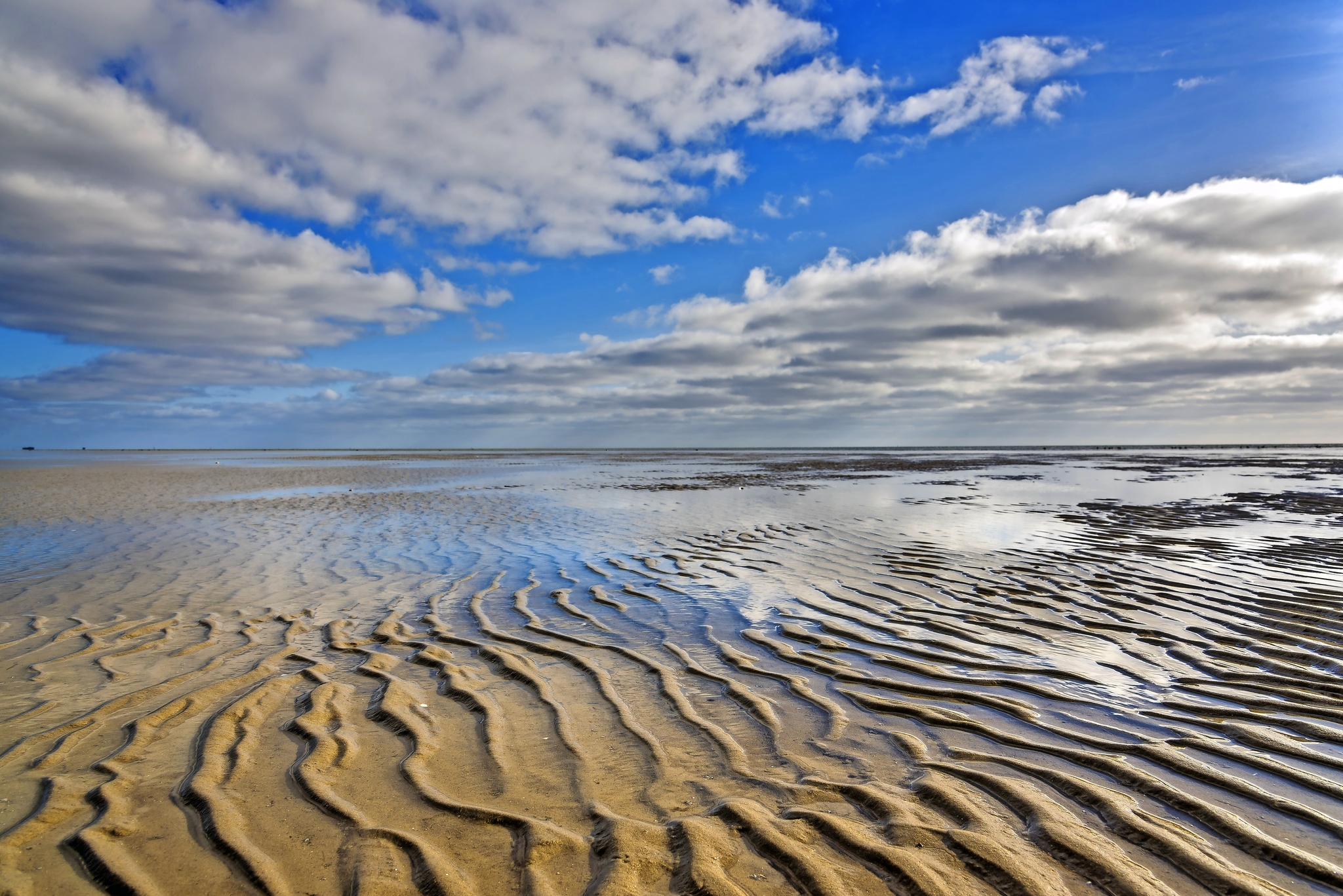 Wattenmeer Wattenmeer Bild