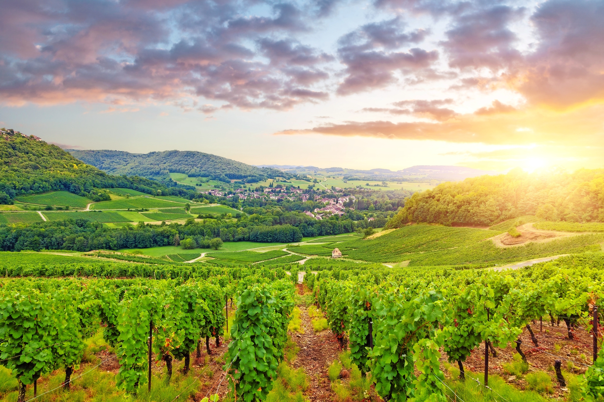 Panorama der Weinberge im Burgund Panorama der Weinberge im Burgund Bild