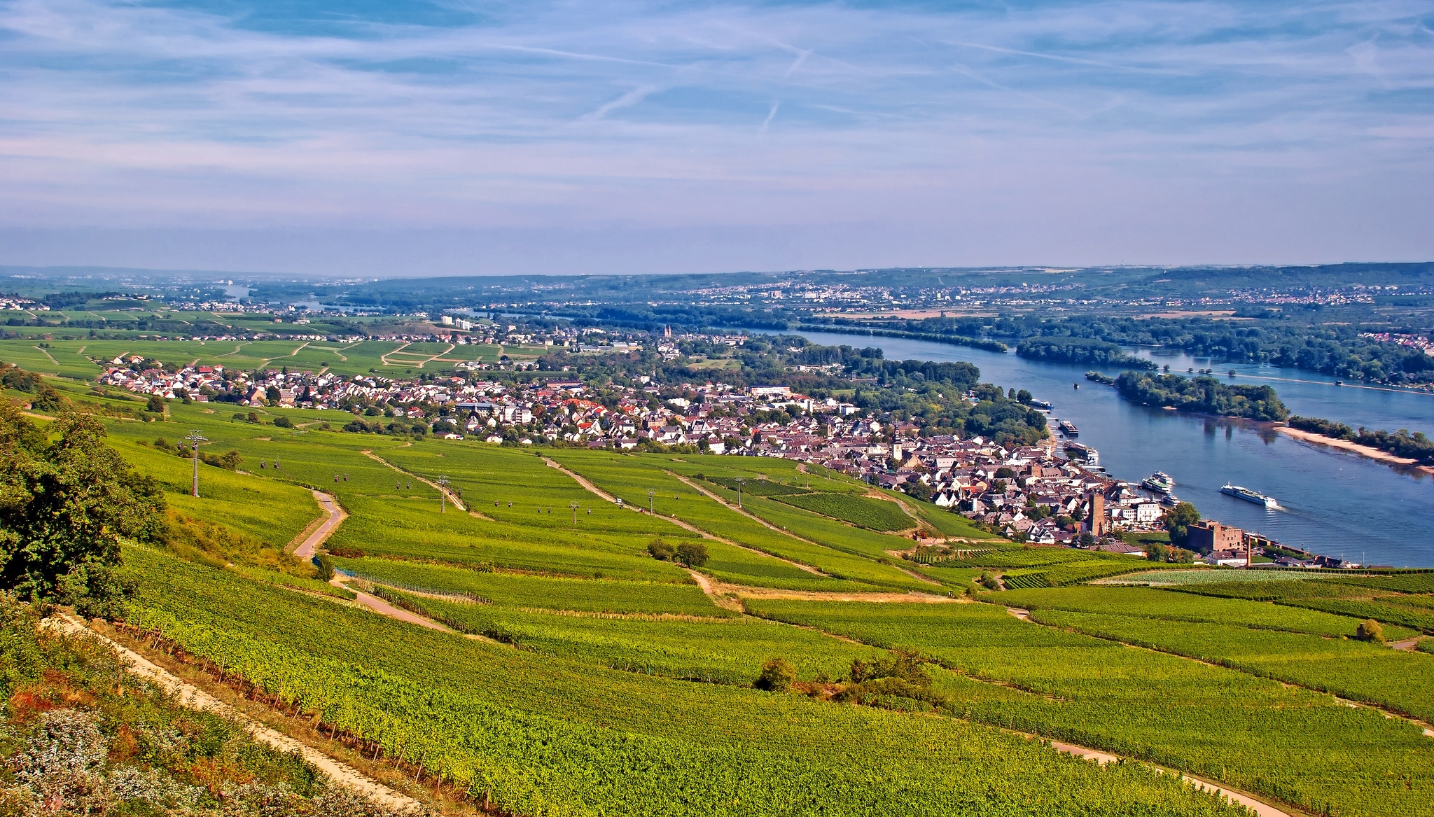 Rüdesheim am Rhein mit Weinbergen und Seilbahn zur Germania Rüdesheim am Rhein mit Weinbergen und Seilbahn zur Germania Bild