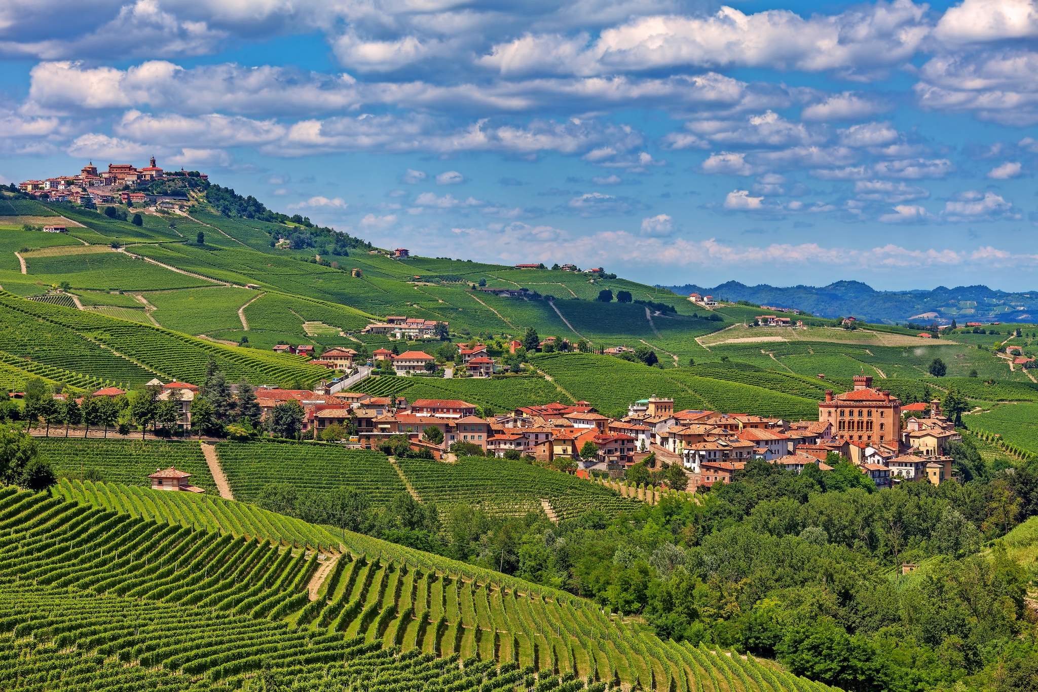 Barolo Weingebiet Barolo Weingebiet Bild