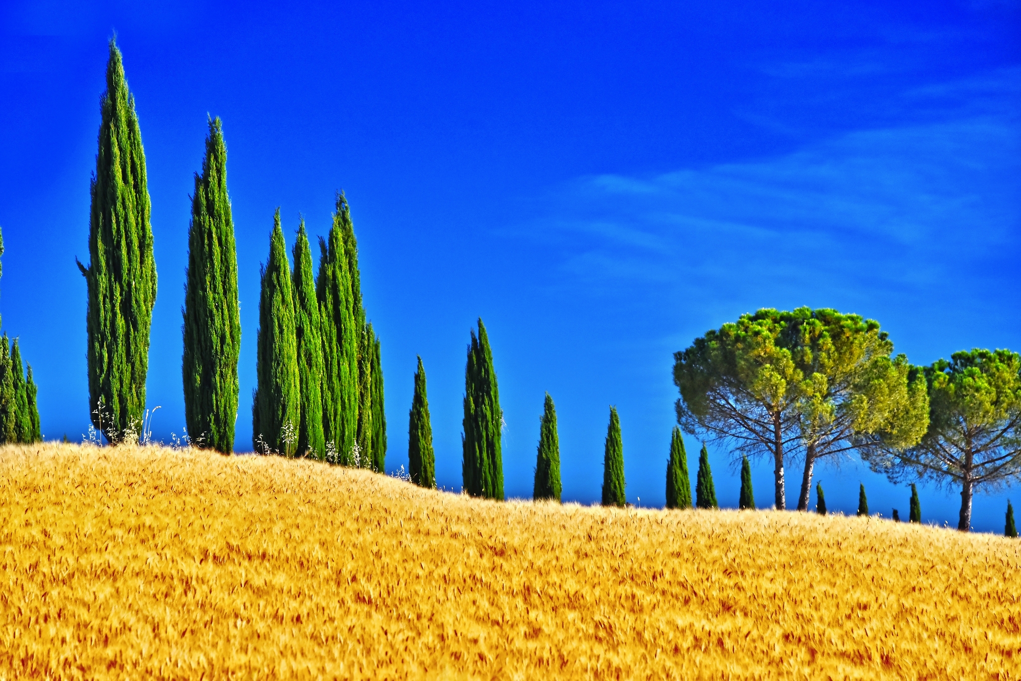 Landschaft Blick auf Val d' Orcia, Toskana, Italien Landschaft Blick auf Val d' Orcia, Toskana, Italien Bild