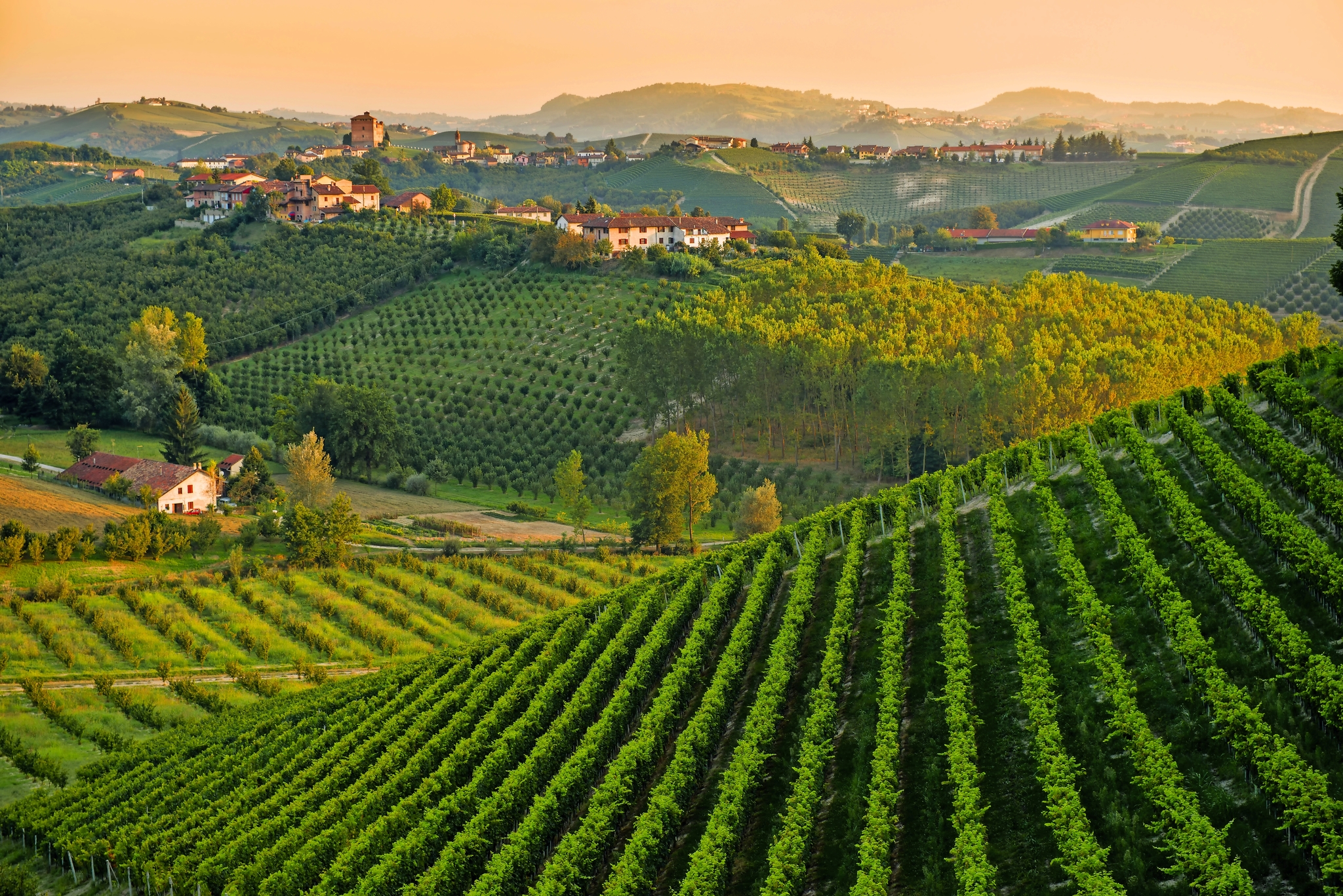 Langhe-Gebiet Langhe-Gebiet Bild