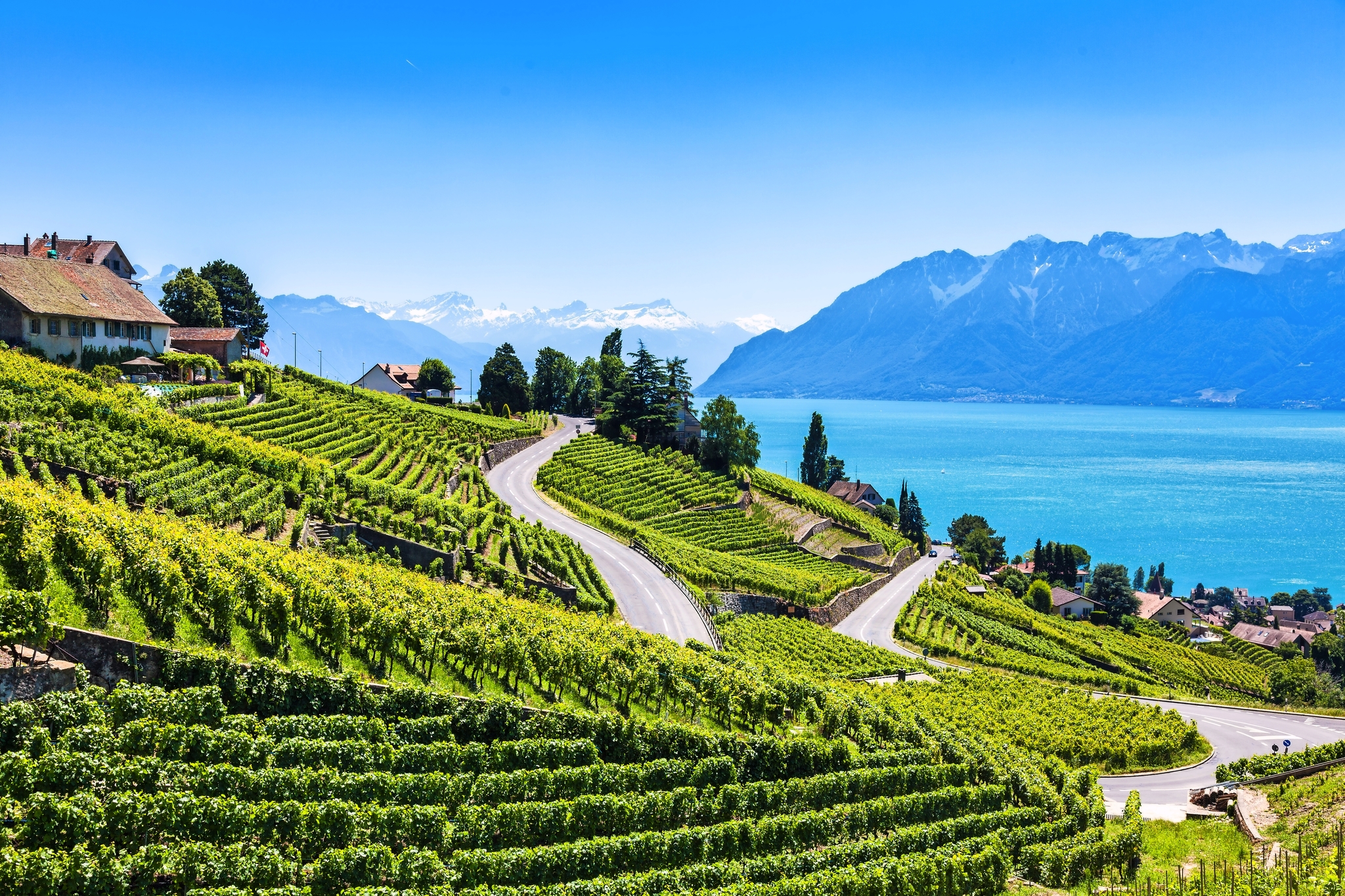 Weinregion Lavaux am Genfersee Weinregion Lavaux am Genfersee Bild