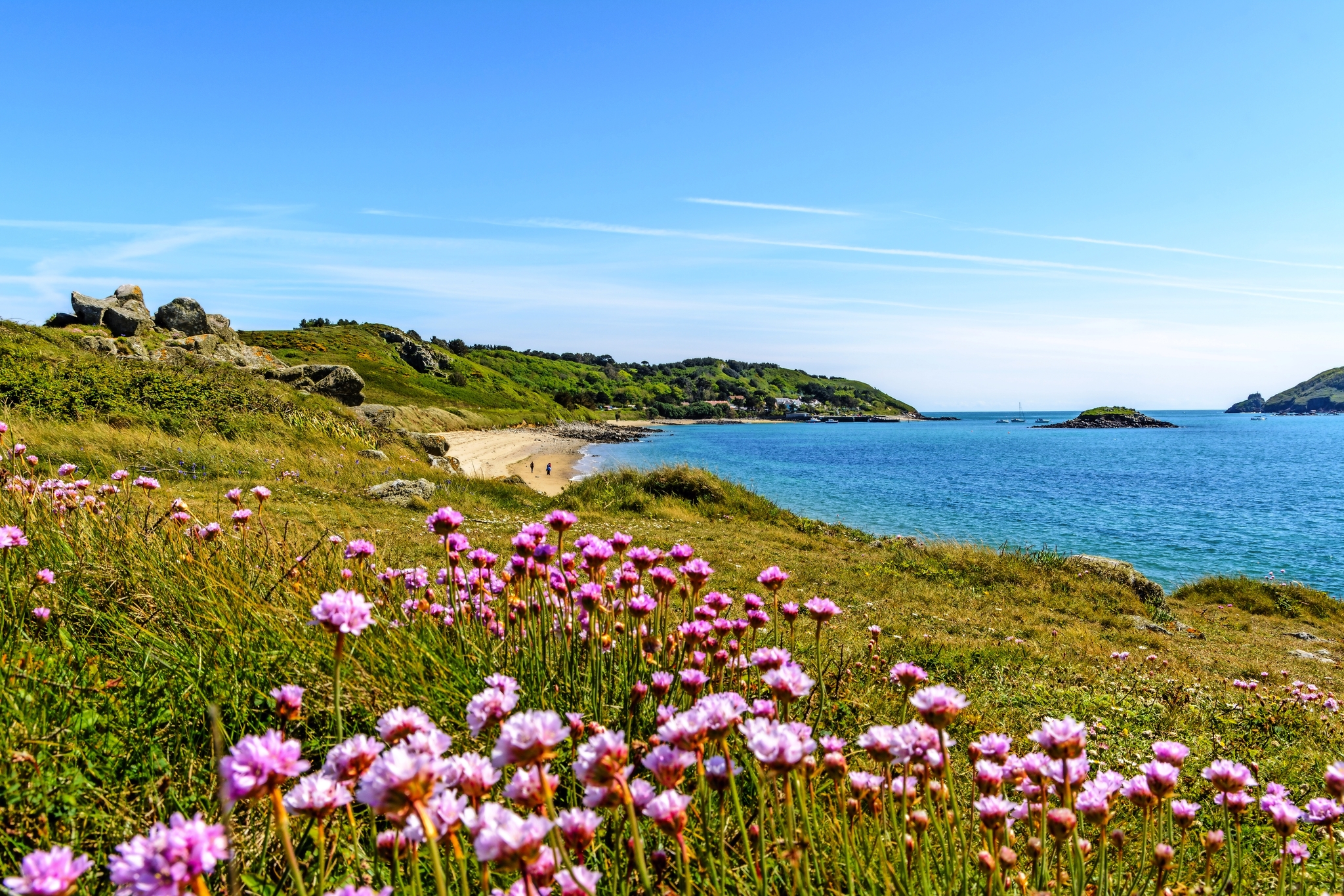 Jersey Jersey Bild